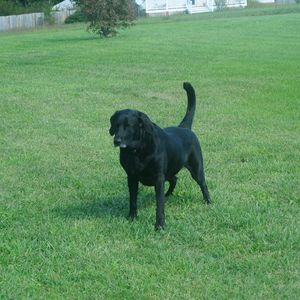 Meet your Posher, Sandy